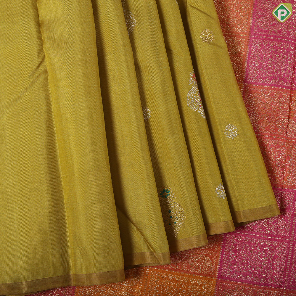 sage green silver gold zari set butta design borderless trendy silk saree