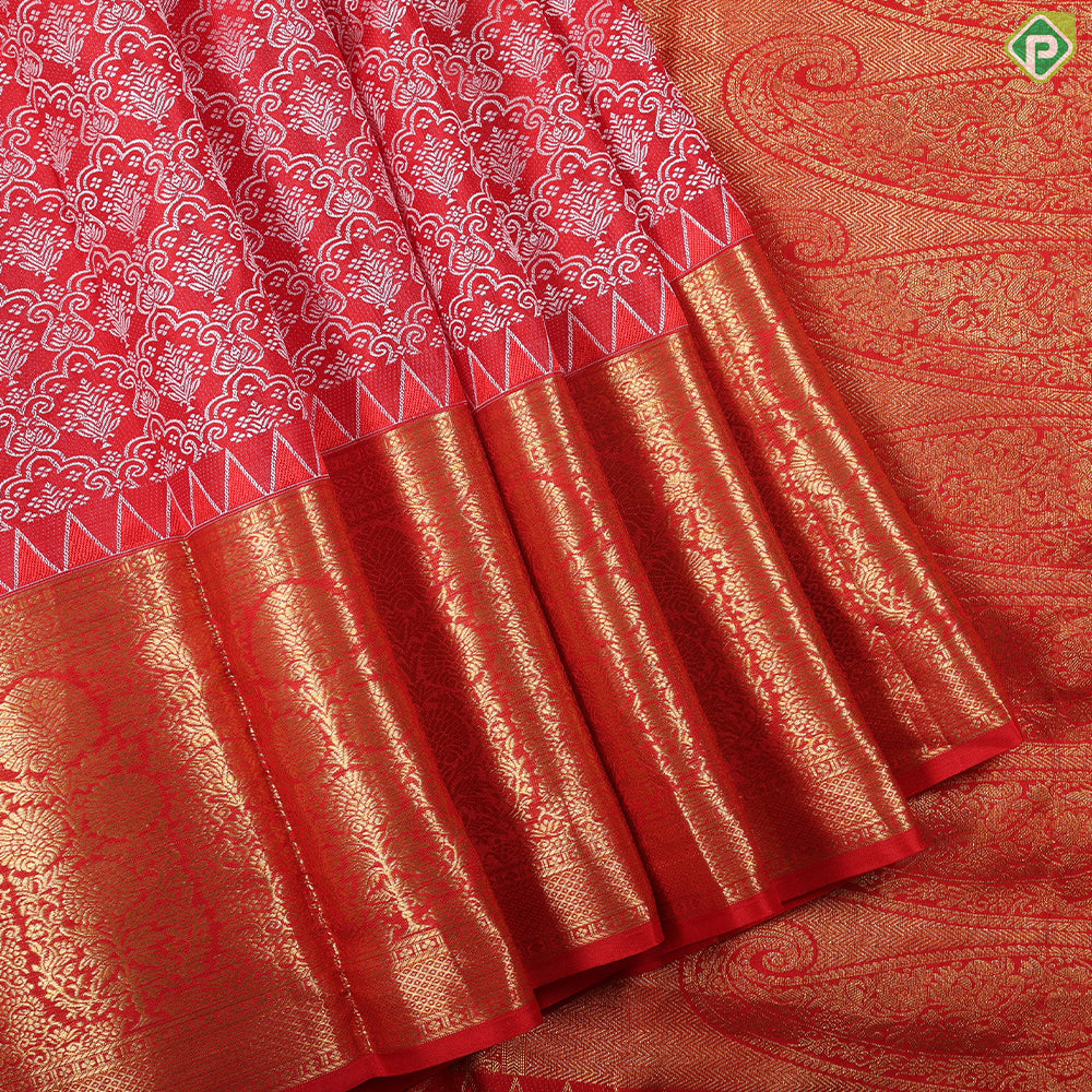 Chilly red white thread work embossed design Rani red with gold zari flower pot border trendy silk saree