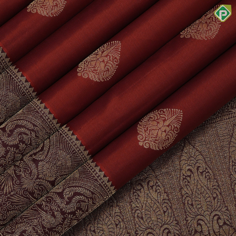 Rust orange gold zari double parrot thilagam design syrup brown gold zari peacock arch banaras style border gift silk saree