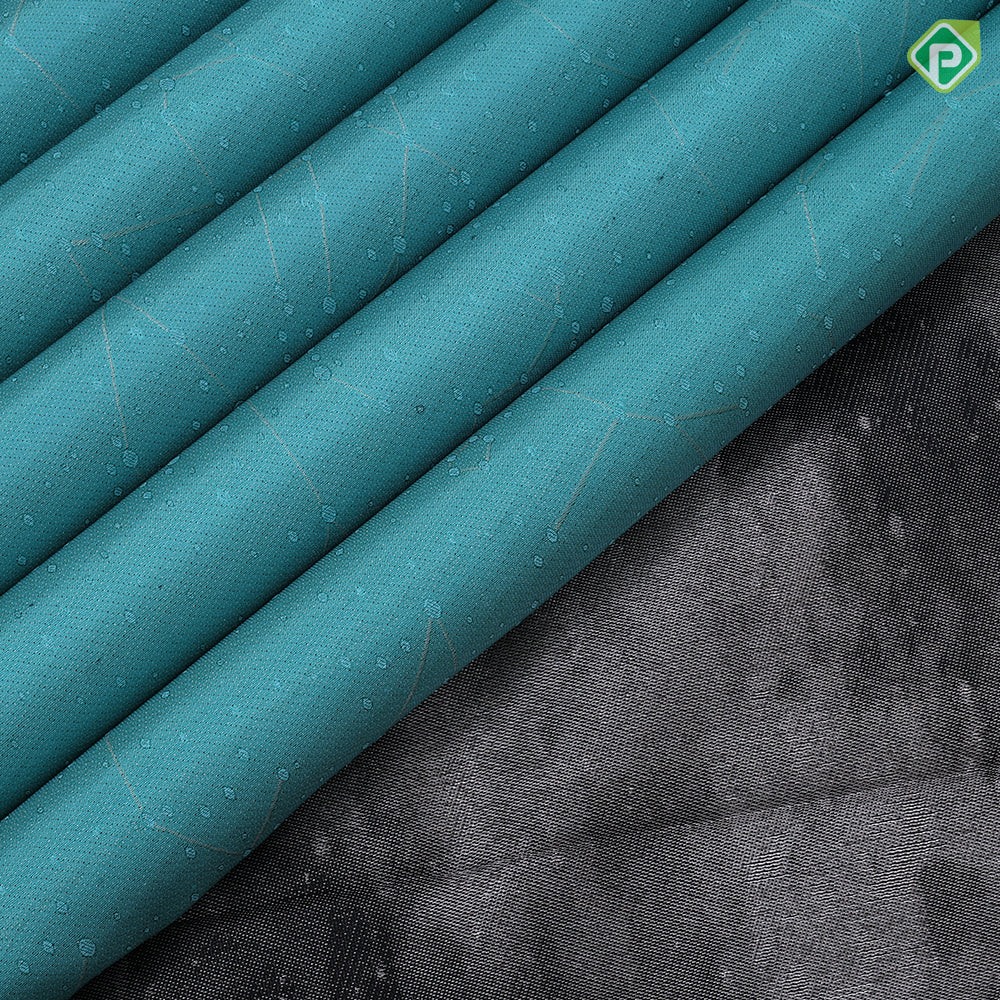Sea foam green silver zari spider net and dots elephant grey wind design border signature trendy designer silk saree