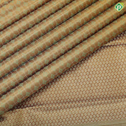 Mint Green gold zari checks thread work design self tropical design border trendy tissue silk saree