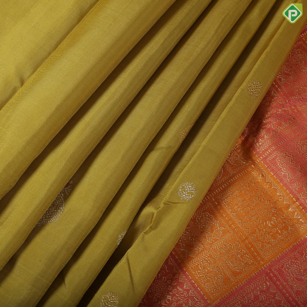 sage green silver gold zari set butta design borderless trendy silk saree