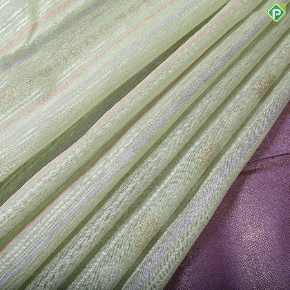 Pista green silver zari butta multi color Stripes design borderless Organza silk saree