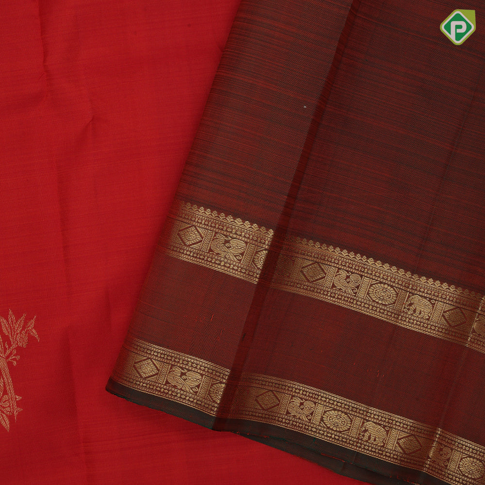 Rust orange gold zari  parrot motif design brown peacock elephant border design traditional silk saree