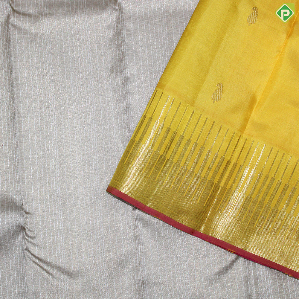 Gray Silver And Gold Zari Tissue With Yellow Temple Design Border Traditional silk saree