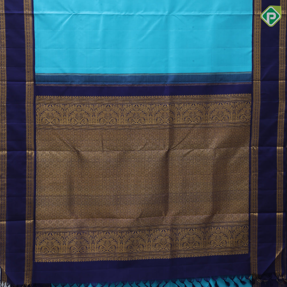 Sky blue plain weaved design royal blue gold zari double line border 9 yards madisar silk saree