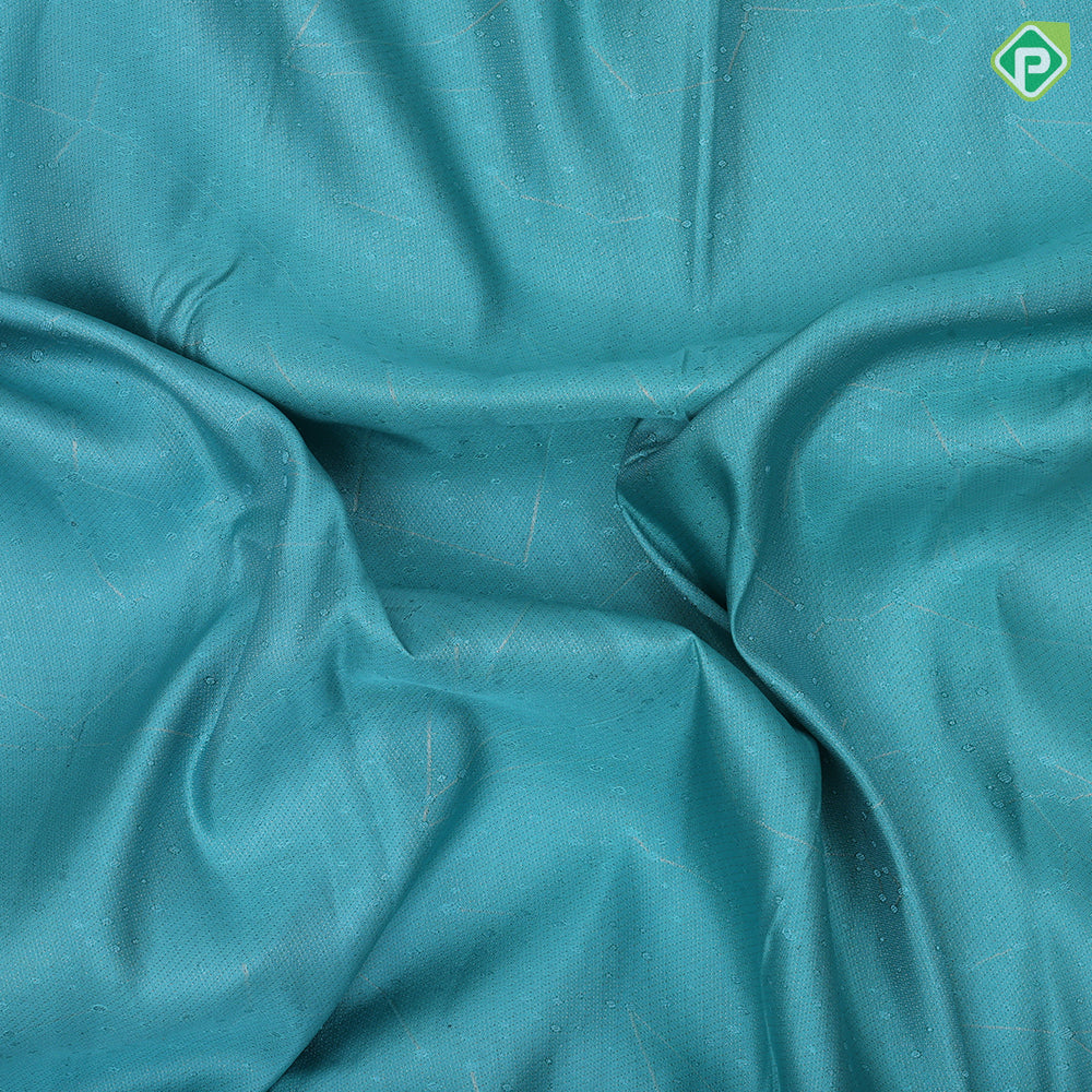 Sea foam green silver zari spider net and dots elephant grey wind design border signature trendy designer silk saree