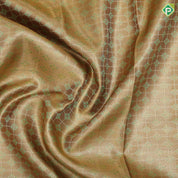 Mint Green gold zari checks thread work design self tropical design border trendy tissue silk saree