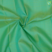 Pista green dual done plain weaved Rexona green gold zari elephant butta line border plain traditional vintage silk saree