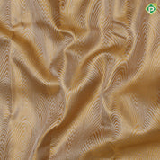 Gold zari silver tissue fancy arch design cream gold zari diamond butta border grand tissue silk saree