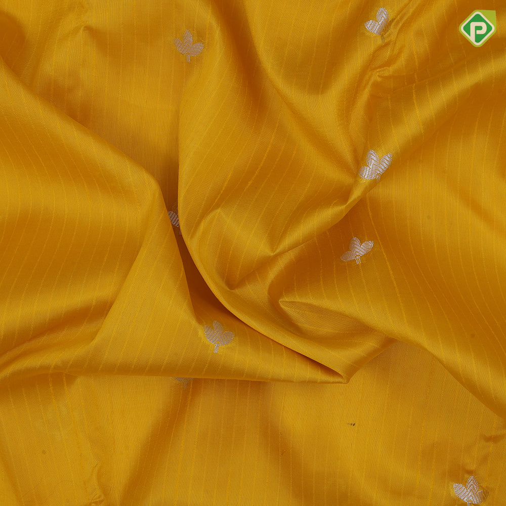 Bright Colour Based Small Motif Design Contrast Border Floral Flower Border Fancy Cotton Saree