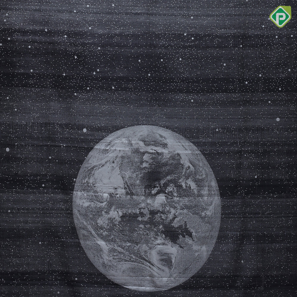 black base silver zari galaxy inspired tissue weaved borderless night moon signature edition silk saree