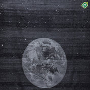 black base silver zari galaxy inspired tissue weaved borderless night moon signature edition silk saree