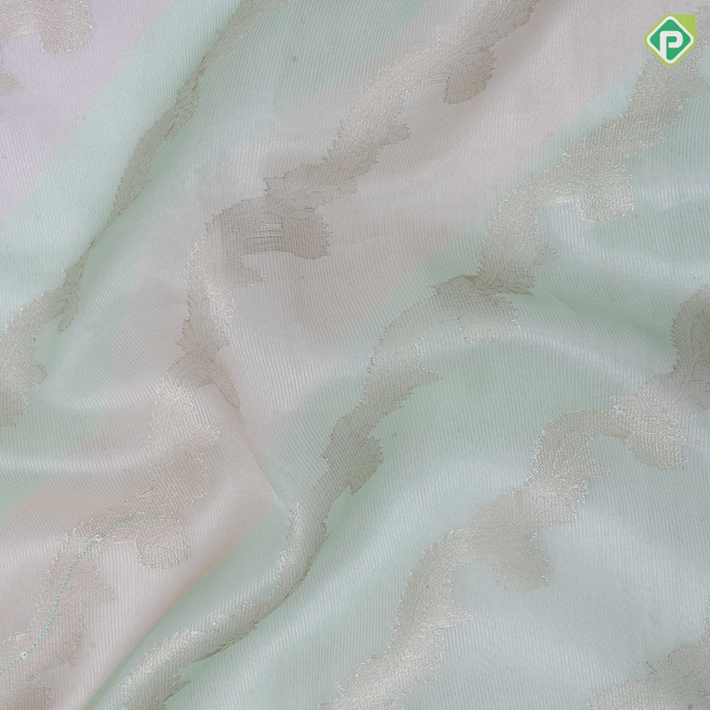 Pista green with silver zari floral tissue design self zari floral pattern border fancy tissue saree