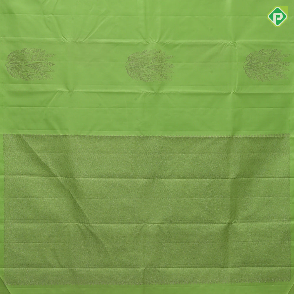 Parrot Green Neem Zari Leaf Design Border Less Fancy Trendy Silk Saree