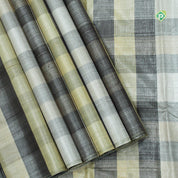 Multi Colour With Silver Zari By Zari Borderless Traditional Silk Saree