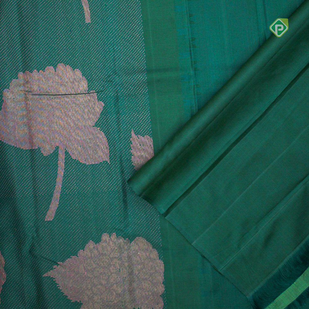 Bottle Green Creamy Pink Borderless Trendy Design Saree
