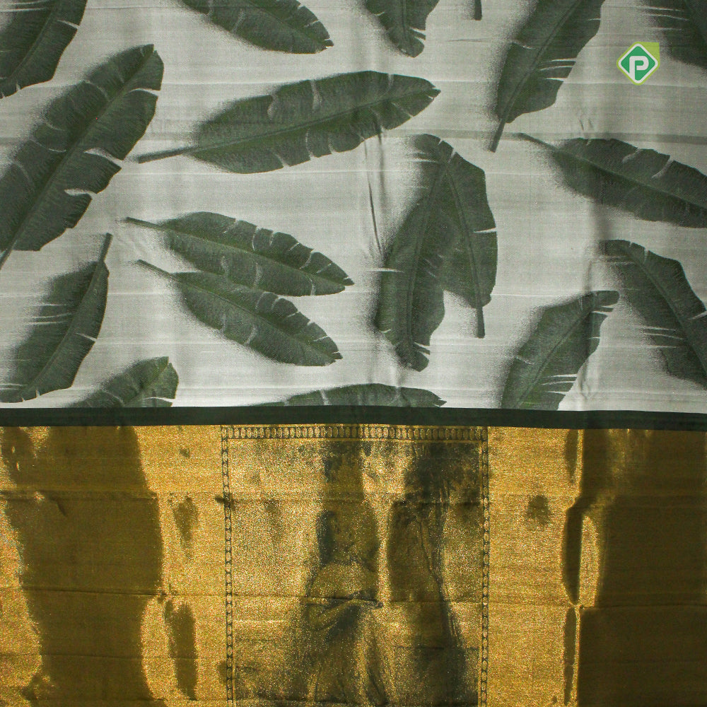 Silver Grey Leaf Green Feather Leaf Design Borderless Trendy Designer Silk Saree