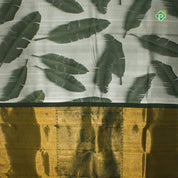 Silver Grey Leaf Green Feather Leaf Design Borderless Trendy Designer Silk Saree