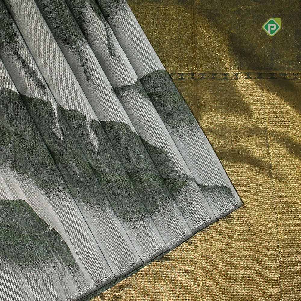 Silver Grey Leaf Green Feather Leaf Design Borderless Trendy Designer Silk Saree