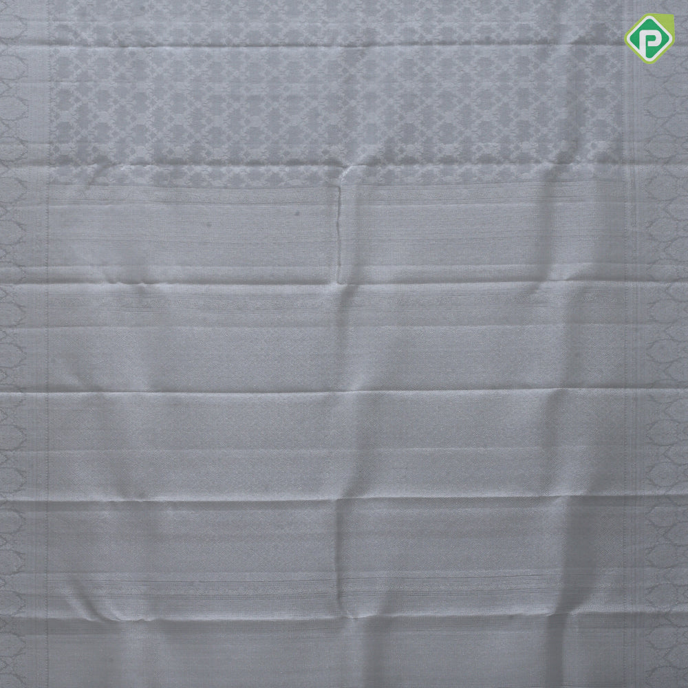 Ash grey zari grand creeper design self silver zari multi design lines border kanchi kora silk saree