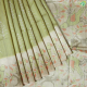 Parrot Green With Half White Pochampalli Design Trees Lines And Cream Colour With Multi colour Parrot on Branch Design Border Digital Print Fancy Saree